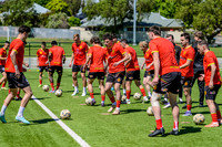 Aus Championship Metro Stars v Bayswater FC 09/11/25