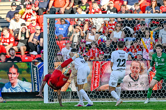 Adelaide United v Macarthur FC-0496