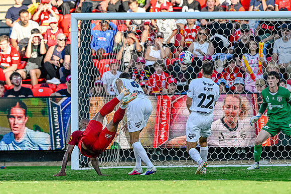 Adelaide United v Macarthur FC-0497