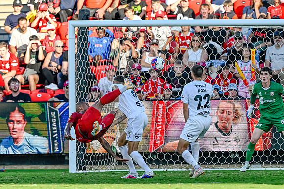 Adelaide United v Macarthur FC-0495