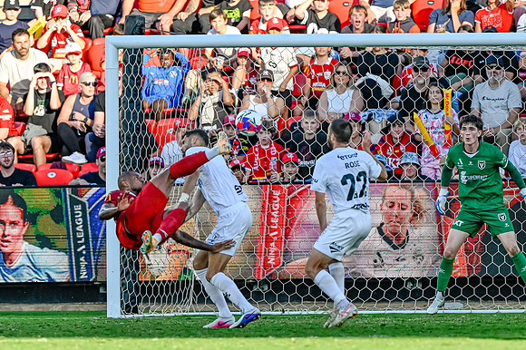 Adelaide United v Macarthur FC-0494