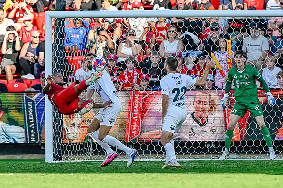 Adelaide United v Macarthur FC-0492