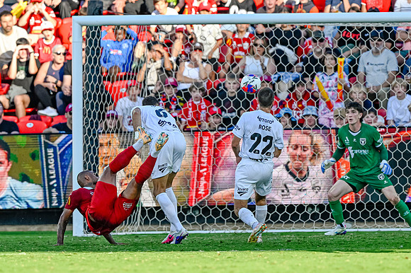 Adelaide United v Macarthur FC-0498