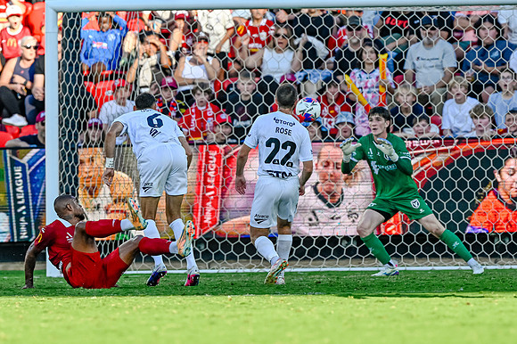 Adelaide United v Macarthur FC-0500