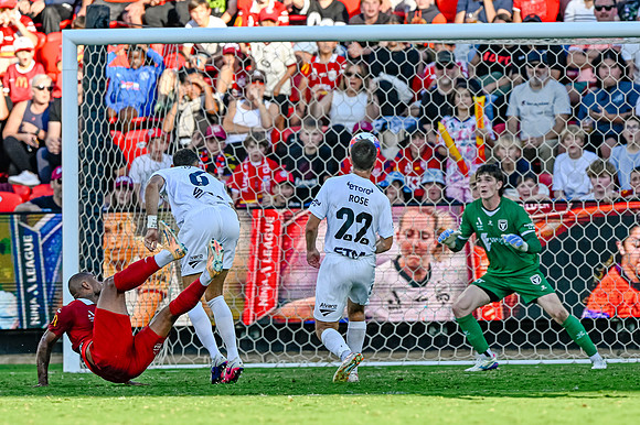 Adelaide United v Macarthur FC-0499