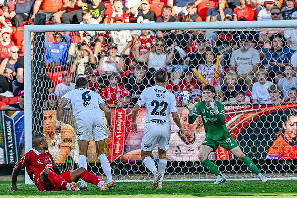 Adelaide United v Macarthur FC-0501