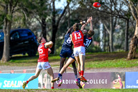 Round 12 South Adelaide v Norwood Reserves 28/06/26