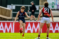 Rd 16 League Norwood v Adelaide Crows 02/08/25