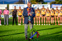 Rd 6 Glenelg v Norwood 25/04/25